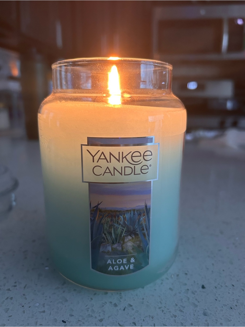Yankee Candle Aloe & Agave Jar Candle